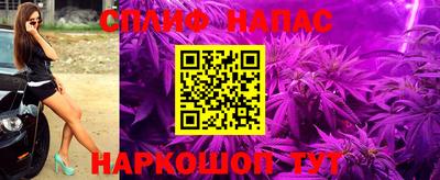 Альфа ПВП Моздок