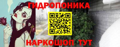 спиды Можга